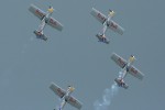 Flying Bulls