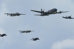 Flying Bulls