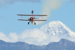 Breitling Wing Walker
