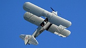 Stearman