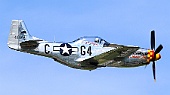 Flying Bulls