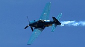 Flying Bulls