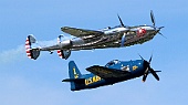 Flying Bulls