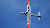 P-2