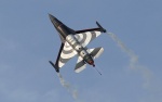 Airpower 2005 in Zeltweg / Österreich<br />Vorführung am 24. und 25. Juni 2005