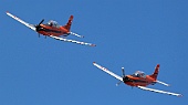 SUBITO Team