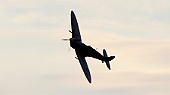 Spitfire LF. IXb