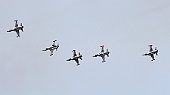 26FL9069-hd