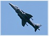 Harrier