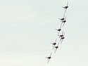06l2566n