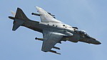 Harrier